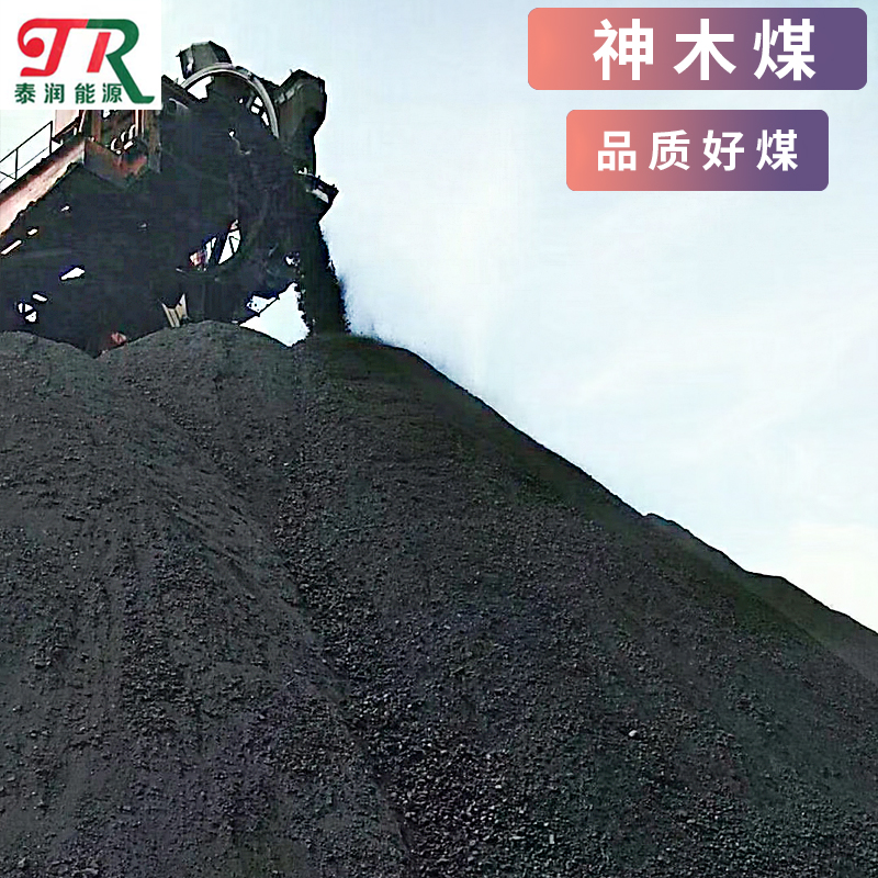 广东神木煤炭厂家直发6000大卡神木高热量煤炭 取暖用梅 欢迎咨询