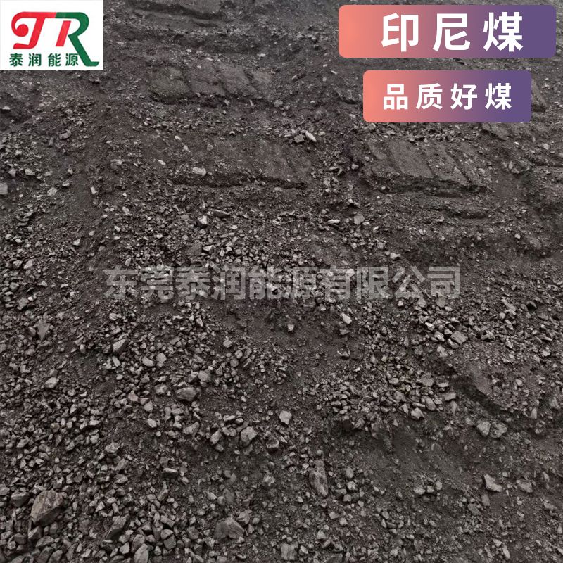 广东煤炭工业锅炉用煤 生活用煤 建材用煤 厂家直发
