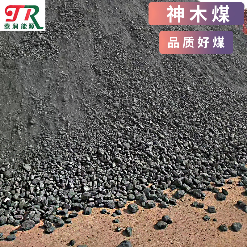广东神木煤炭厂家直发6000大卡神木高热量煤炭 取暖用梅 欢迎咨询
