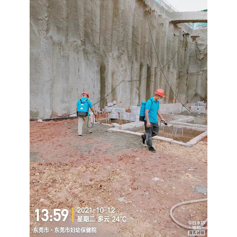 橫瀝房屋樓盤白蟻防治 快速上門免費檢測 樂佰昆白蟻