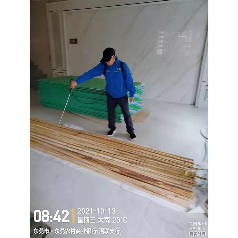 橫瀝房屋樓盤白蟻防治 快速上門免費檢測 樂佰昆白蟻