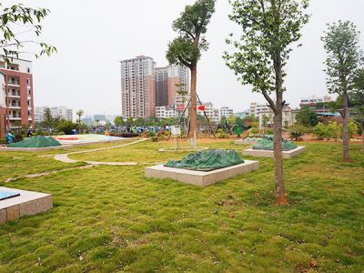校园景观案例